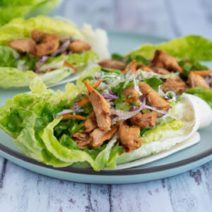 Chicken and Vegetable Lettuce Wraps Healthy Main Dish Recipe